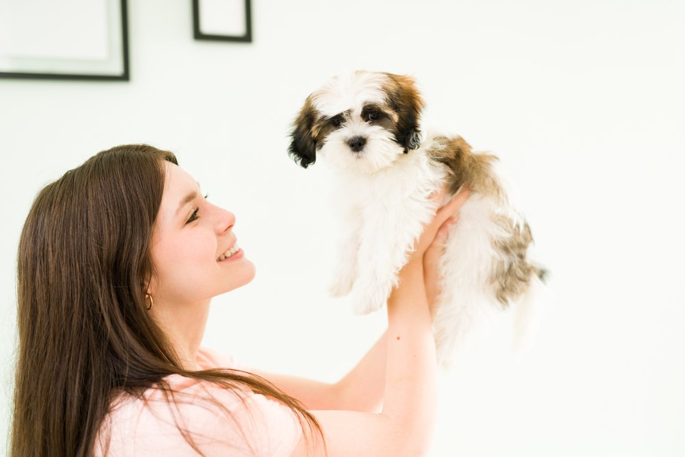 Hermosa mujer joven emocionada mientras lleva en el aire y jugando con su adorable cachorro shih tzu