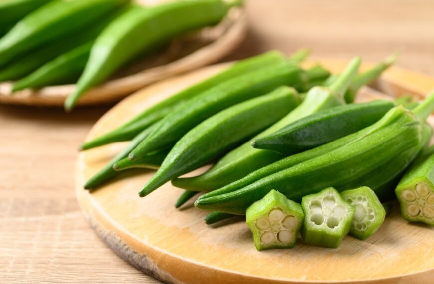 Pueden comer okra los perros